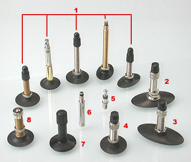 types of bike pumps valves